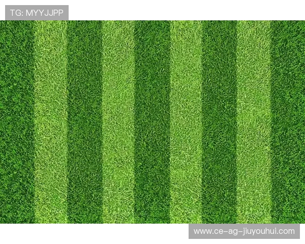 中国顶级足球草坪建设标准与绿色生态体育场发展的融合探索